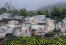 00后女孩学殡葬专业 正式入职陵园做守墓人 对工作很满意 - v2ra小站