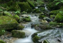 男子路遇“含羞泉” 对着喊一声水瞬间消失 揭秘:虹吸效应 - v2ra小站