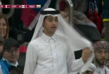 卡塔尔“小王子”复刻走红瞬间表情：看看买家秀PK卖家秀 - v2ra小站