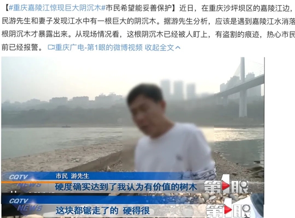 一斤几万块?挖到阴沉木 就能一夜暴富? - v2ra小站