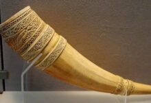 为什么一定要杀死大象?不能直接取下象牙吗?残忍没法看 - v2ra小站