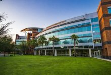 哈佛、人大纷纷退出 千万别再把大学排名当回事儿了 - v2ra小站