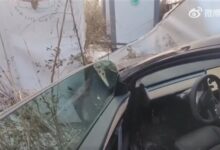 男子陪朋友试驾特斯拉 结果被小姐姐销售开进沟里 - v2ra小站