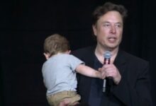 马斯克认为人口崩溃是必然：成人纸尿裤使用量是重要衡量指标 - v2ra小站