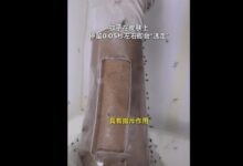 防蚊新科技！涂了它蚊子0.05秒逃走 赶紧让王多鱼投钱 - v2ra小站