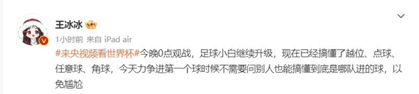 王冰冰更新微博:已经搞懂越位、点球、任意球和角球了 - v2ra小站
