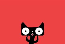 罗永浩等新主播加入 淘宝四个字评价今年双11：稳中向好 - v2ra小站