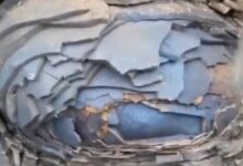 贵州一男子野外发现怪石 层层挖开似剥洋葱 专家:或是上亿年结核化石 - v2ra小站