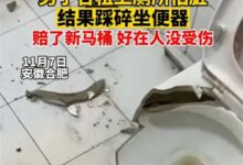 踩公用马桶圈受伤的人 有人十级伤残、割破动脉：医生科普如何用公厕 - v2ra小站