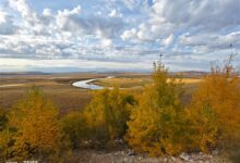 vivo X90 Pro+样张出炉：长焦实拍绝了 - v2ra小站