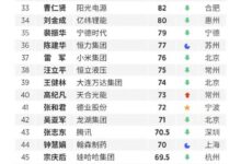 福布斯中国内地富豪榜:比亚迪王传福汽车界第一 - v2ra小站