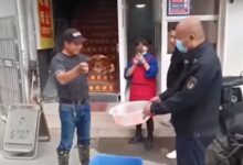 男子50元买的海怪竟是国保中华鲎:被称