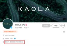 学习长城欧拉 北汽新能源考拉项目曝光：或专注女性用户 - v2ra小站