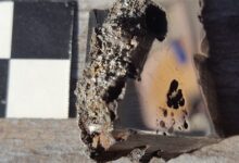 科学家从“天外来物”陨石中 发现了地球上从未见过的两种新矿物质 - v2ra小站