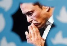 不相信用户是“人”后：马斯克开始怀疑推特员工是“幽灵” - v2ra小站