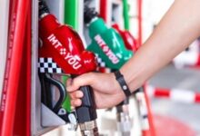 新变化！国内油价预计下调0.46元/升 坐等12月19日 - v2ra小站