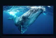 白菜价的日子不多了 LCD面板价格连涨2个月:早买早享受 - v2ra小站