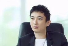 王思聪投资百万成立新公司 经营范围包括动漫游戏开发 - v2ra小站