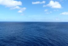 武汉一女子为捡手机意外坠江 不会游泳的她靠羽绒服漂浮:最终获救 - v2ra小站