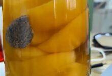 网友发现黄桃罐头里面有石头 厂家：是麦饭石、可增加微量元素 - v2ra小站