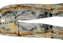 沉船捞出165年前牛仔裤80万卖出：更有数不清的黄金 - v2ra小站