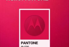 摩托罗拉×潘通 “非凡洋红”限定版新机来了 - v2ra小站