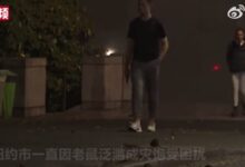 美国纽约120万年薪招聘灭鼠总管引热议 要求本科学历:网友喊话有汤姆 - v2ra小站