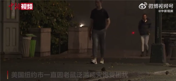美国纽约120万年薪招聘灭鼠总管引热议 要求本科学历:网友喊话有汤姆 - v2ra小站