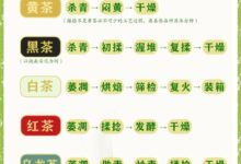 绿茶白茶黄茶红茶乌龙茶……傻傻分不清?学完这篇你就是专家 - v2ra小站