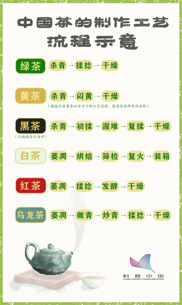 绿茶白茶黄茶红茶乌龙茶……傻傻分不清？学完这篇你就是专家 - v2ra小站