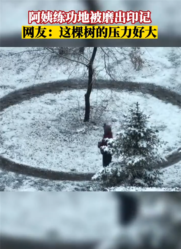 阿姨常年练功地被磨出印记 画面让网友看笑:太执着 树压力好大 - v2ra小站