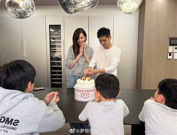驾特斯拉Model X车祸 5个多月林志颖还没完全康复：官方保持沉默 明年2月开工 - v2ra小站