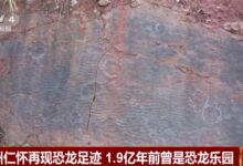 贵州茅台镇1.9亿年前曾是恐龙乐园:侏罗纪早期聚集大量恐龙 - v2ra小站