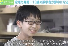 13岁日本男孩发现7个数学新定理:大佬直呼“可敬的数学家” - v2ra小站