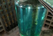 世界最大独立圆柱体水族馆爆裂:1500多条鱼全军覆没 - v2ra小站