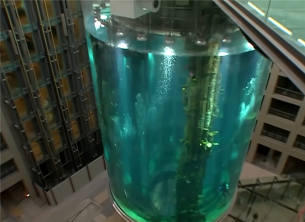 世界最大独立圆柱体水族馆爆裂:1500多条鱼全军覆没 - v2ra小站