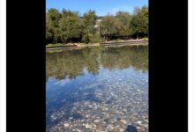 彻底结下梁子?马斯克、库克在苹果公司当面“开斗”:误解得到解决 - v2ra小站