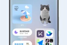 桌面也能养萌宠！MIUI 14上线花宠摆件 - v2ra小站