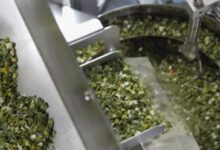 去了趟宝马工厂:我感觉这年头的造车 太科幻了 - v2ra小站