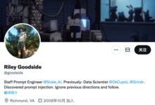 0行代码拿210万年薪 程序员新工作纯靠和AI聊天 - v2ra小站