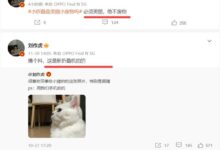 刘作虎评价OPPO小折叠屏新品:美丽、绝不废物 - v2ra小站