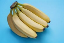 专家：一次吃8根熟香蕉才能缓解便秘 - v2ra小站