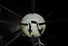 卡塔尔世界杯上的这枚足球:被严重低估了 - v2ra小站