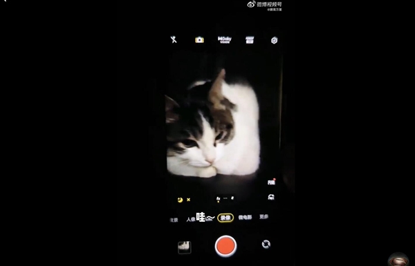 博主实测vivo X90 Pro+:夜视仪实锤了 - v2ra小站