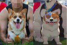 我迟早被这些AI绘画笑死 - v2ra小站