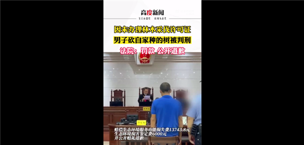 自己的不让砍?男子砍伐自家种的树被判2年半罚1.5万引热议 官方科普长见识 - v2ra小站