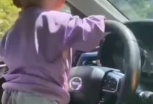 切勿模仿！男子让幼儿握方向盘开车还拍摄炫耀：扣3分、罚200 - v2ra小站