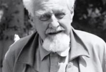 猫科动物中为什么只有猫成为人类的宠物呢? - v2ra小站