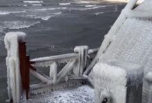 威海海边护栏冻满冰凌 仿佛一夜进入“冰河世纪” - v2ra小站