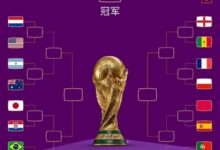 世界杯16强对阵韩国挺进 葡萄牙主帅称韩球员侮辱了C罗:韩网友发帖还击 - v2ra小站